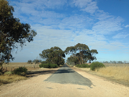 Near Hopetoun, western Victoria. Image by Misho Baranovic. For more of Misho's work, see mishobaranovic.com.
