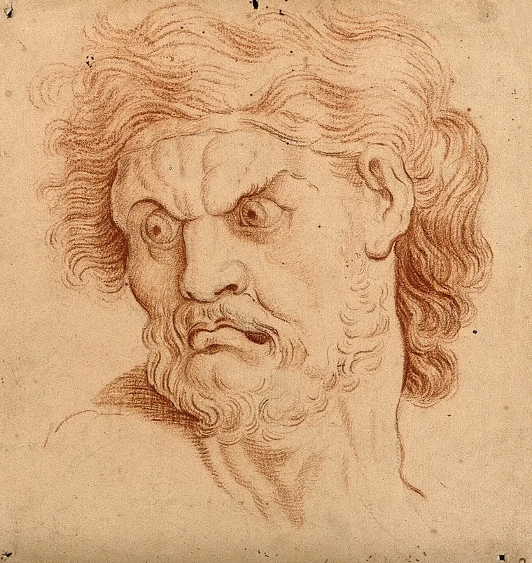Is this truly the face of an angry man? ( Drawing, 18th century (?), after C. Le Brun , Wellcome Collection). Or is he merely combobulated?