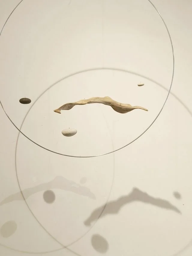 pauline-effantin-exposition-cueillirlejour (7).jpg