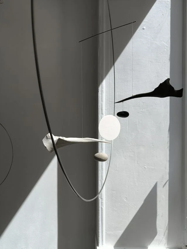 pauline-effantin-exposition-lyon-croix-rousse (03).jpg