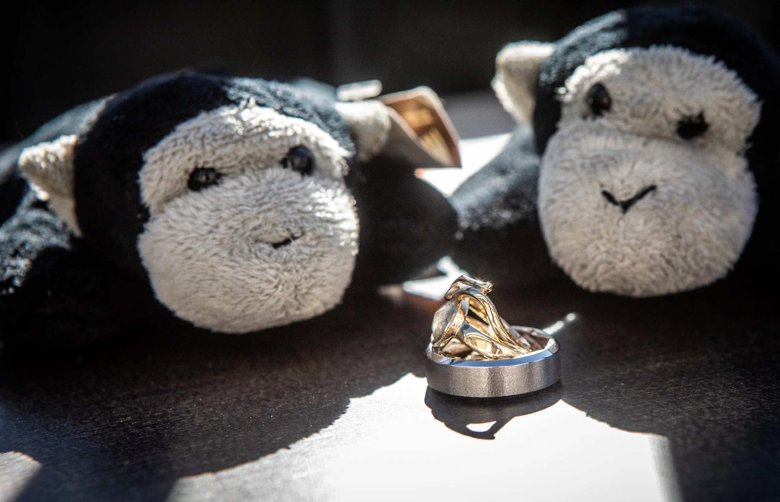 Atlanta_Wedding_Photographers_AtlantaArtisticWeddings (38 of 821).jpg