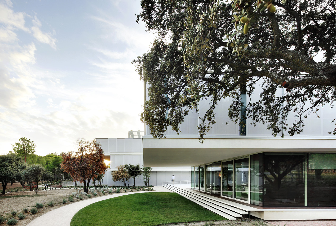 CAMPUS BBVA 009.jpg