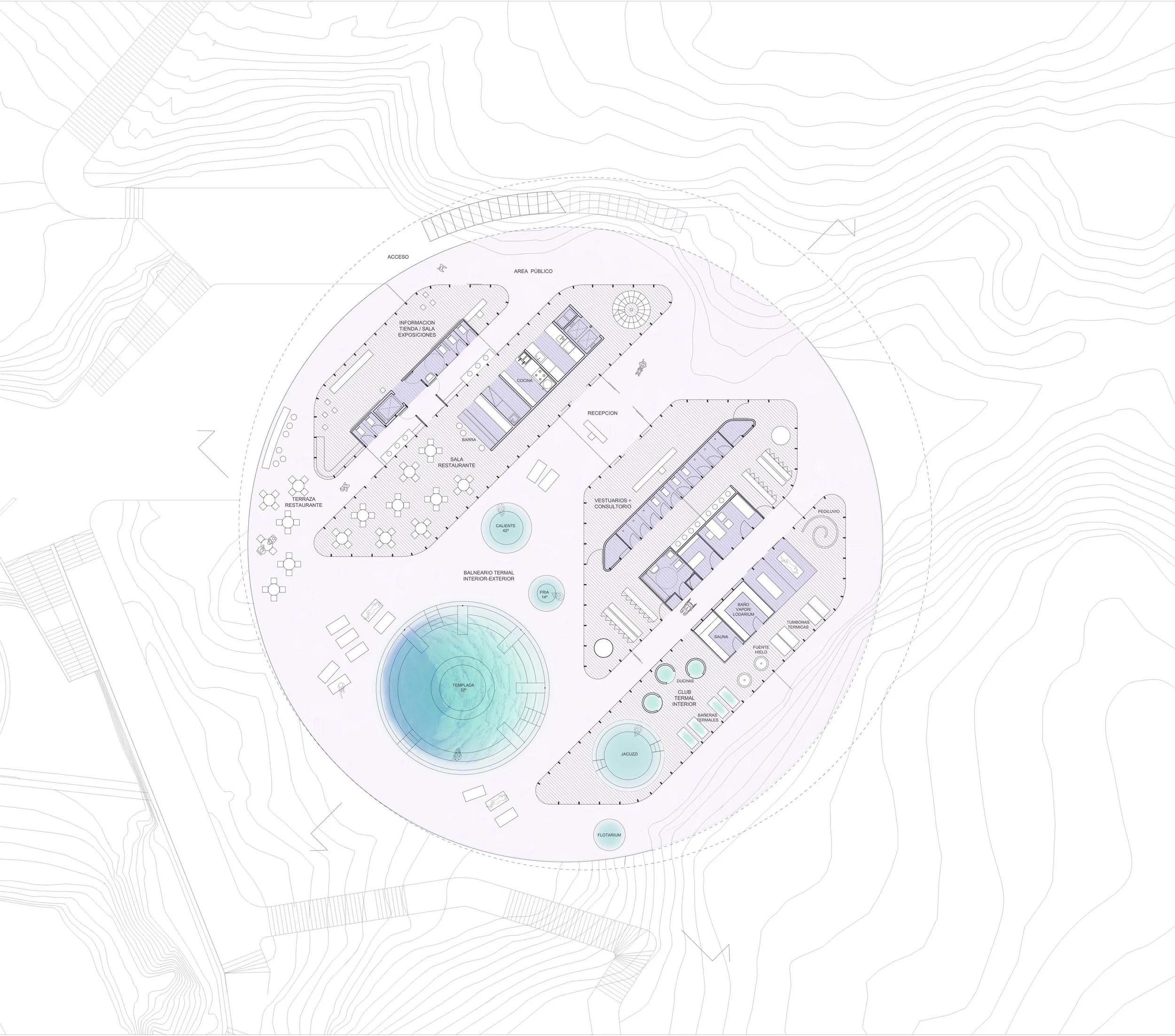 150219 planta_30cm.jpg