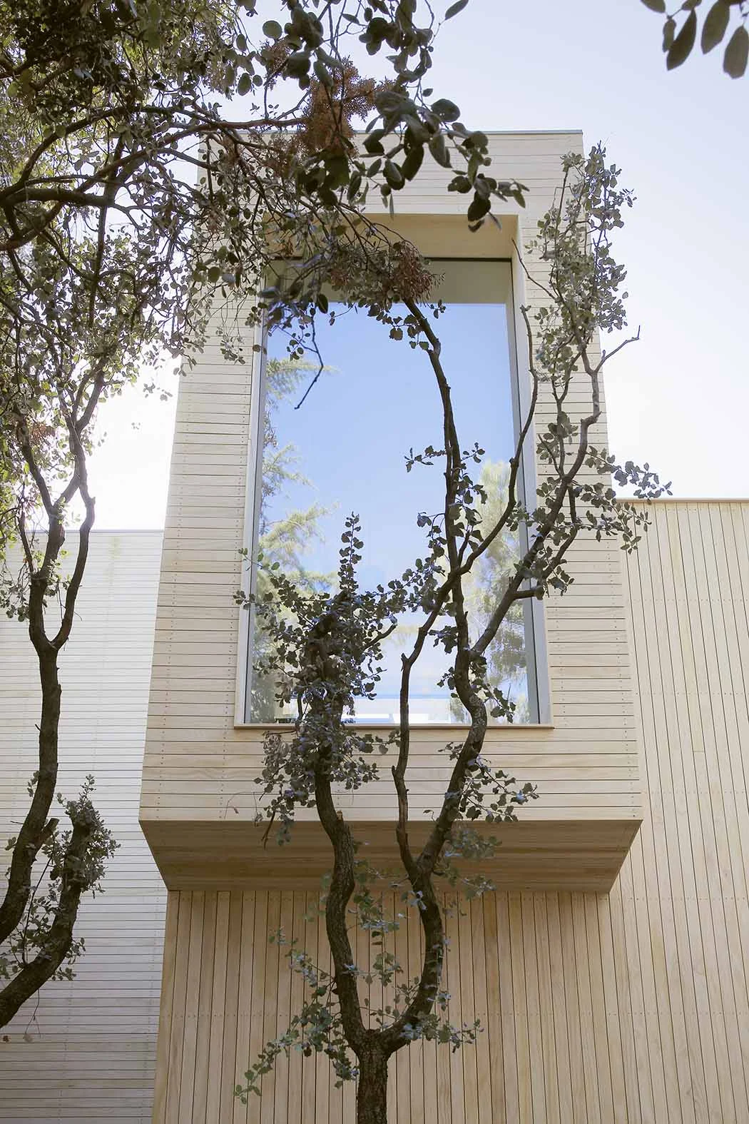 AM Torrelod 02-10.jpg