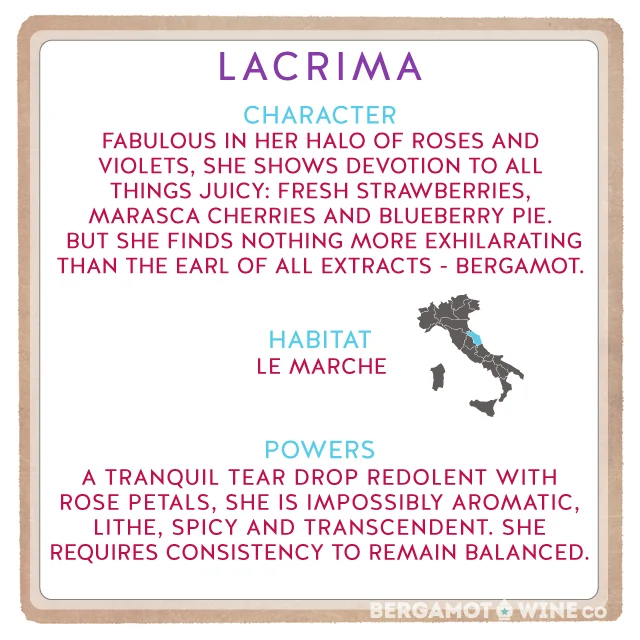 lacrima-traits-bergamot-wine-co.jpg
