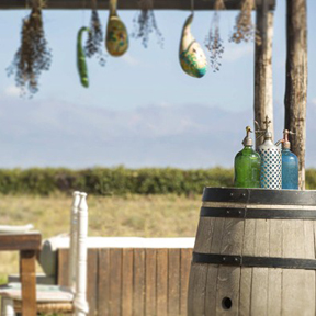 La Dolce Vigna - Mendoza Wine Tour - Best Winery Lunches - La Azul - 1.jpg