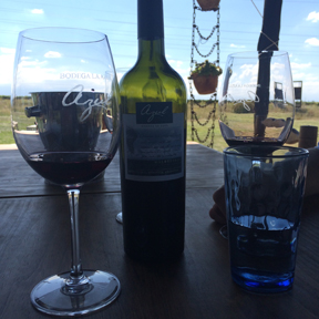 La Dolce Vigna - Mendoza Wine Tour - Best Winery Lunches - La Azul - 3.jpg