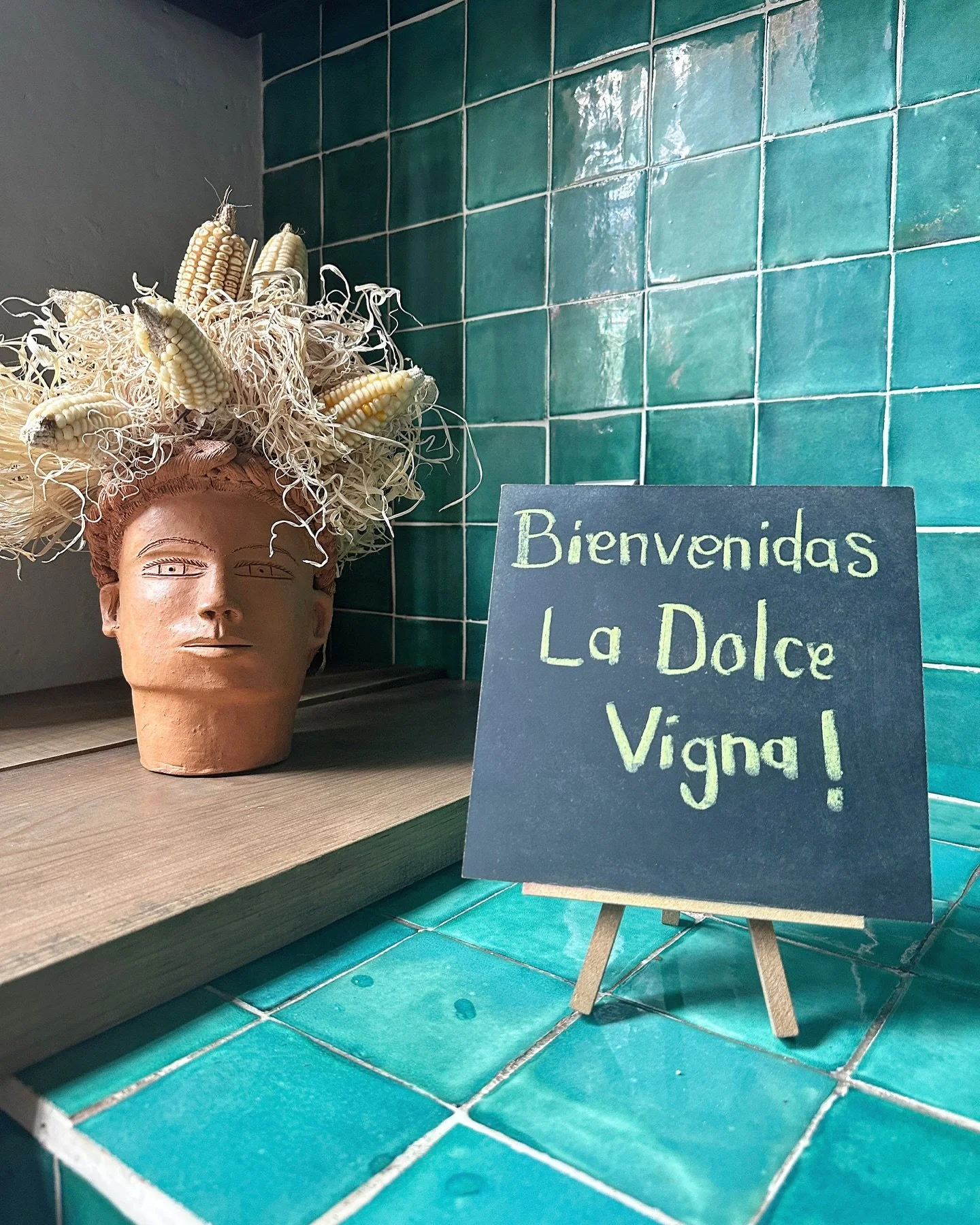 Did you know La Dolce Vigna offers trips not only to Italy, but also Argentina, England and Mexico?
Shown here is a little welcome sign from one of the hotels I work with in Oaxaca, Mexico. 🥹😍
My Oaxaca Mezcal + Culture Tour has sold out for 2026