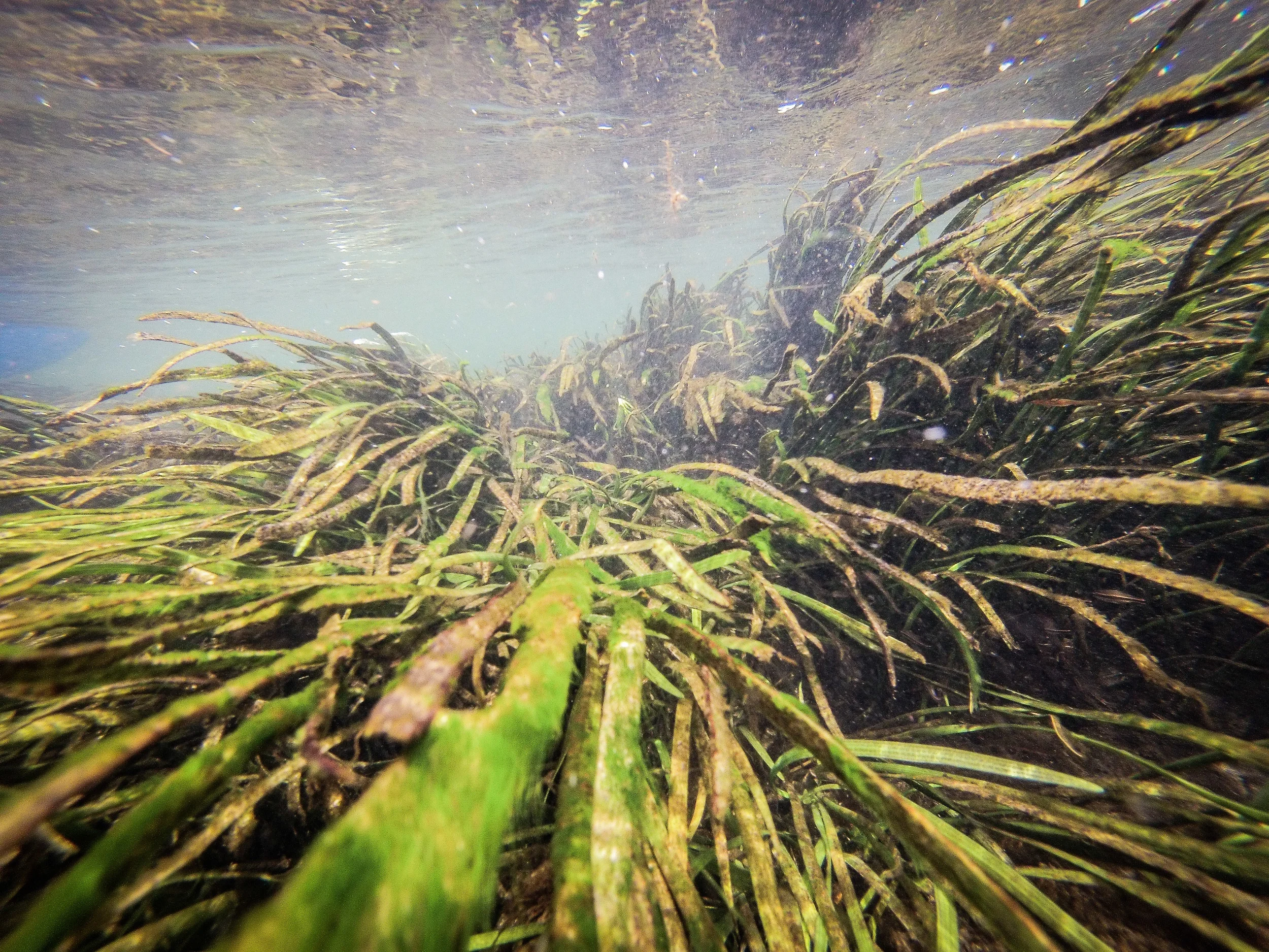 DCIM\101GOPRO