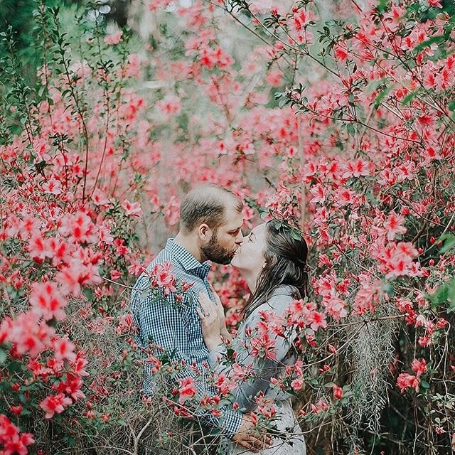 &ldquo;You know you&rsquo;re in love when you can&rsquo;t fall asleep because reality is finally better than your dreams.&rdquo; Dr Seuss #engaged #weddingday #weddingwire #weddingpros #weddingbouquet #floraldesigner #flowersofinstagram #valparaisoph