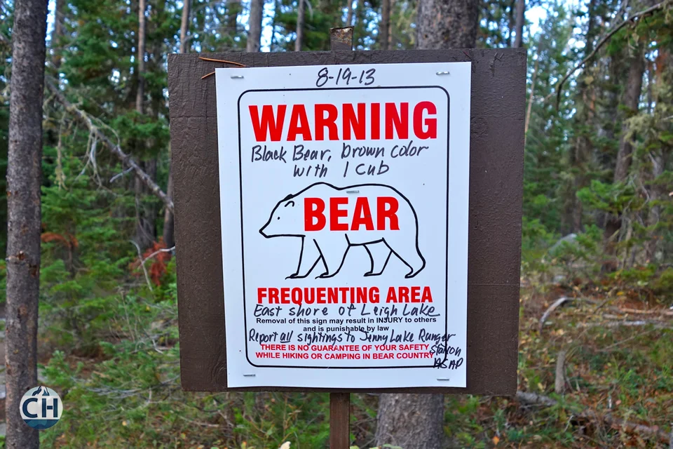 Bear Sign