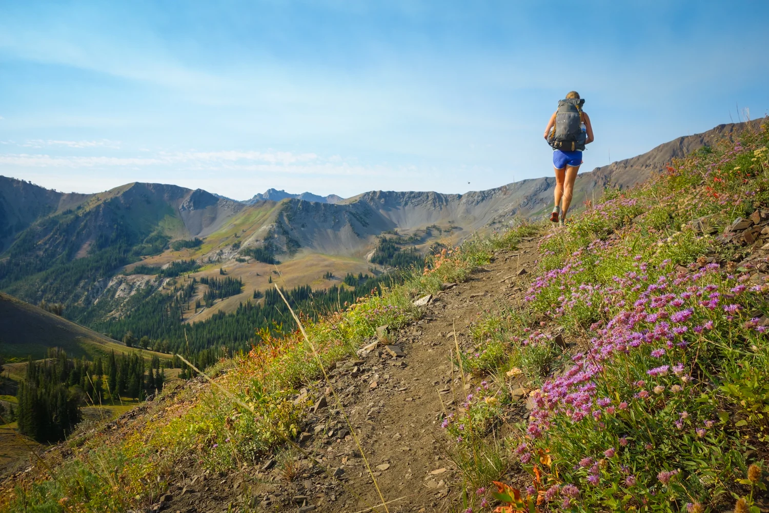 pacific northwest backpacking trips