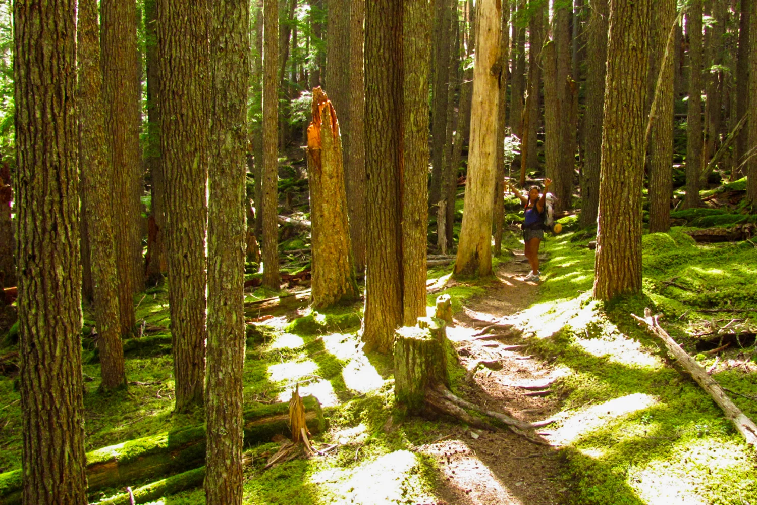 8 Iconic Pacific Northwest Backpacking Trips — CleverHiker