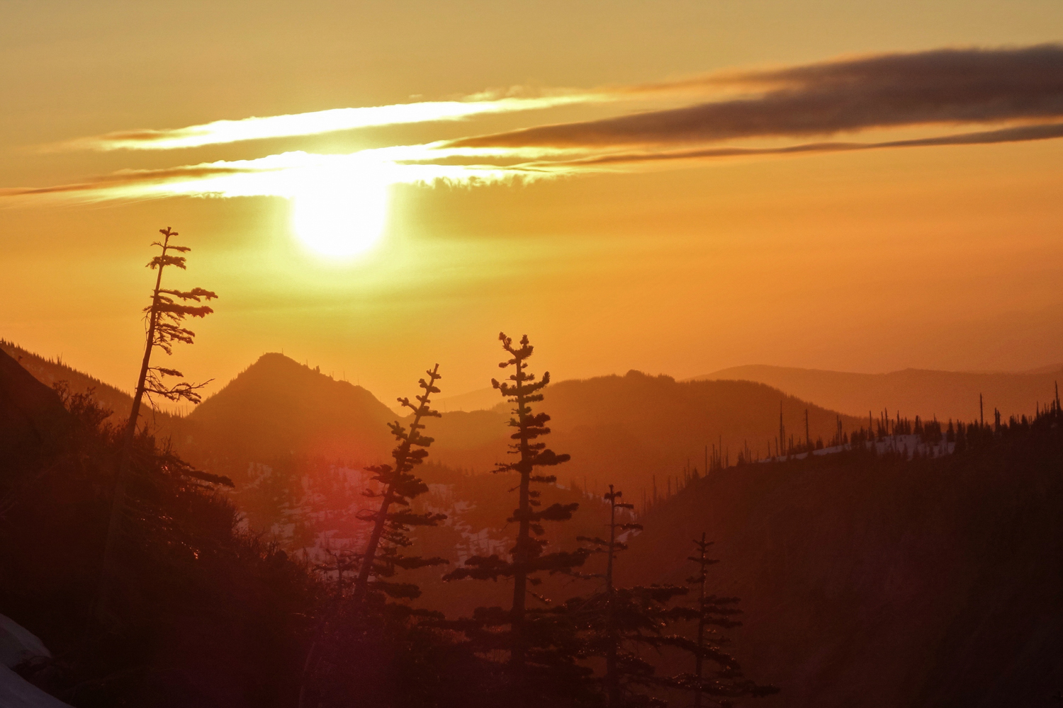 Mount Margaret Backpacking Guide, Mount St. Helens — CleverHiker