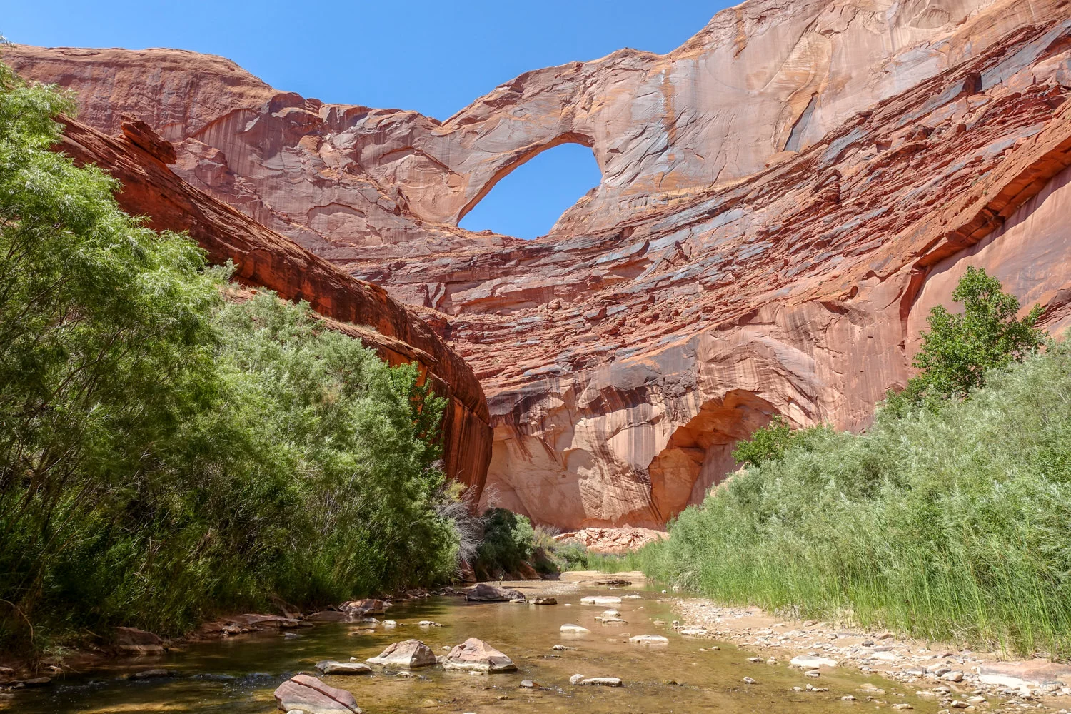 Coyote Gulch Trail Map Pdf Coyote Gulch Backpacking Guide — Cleverhiker