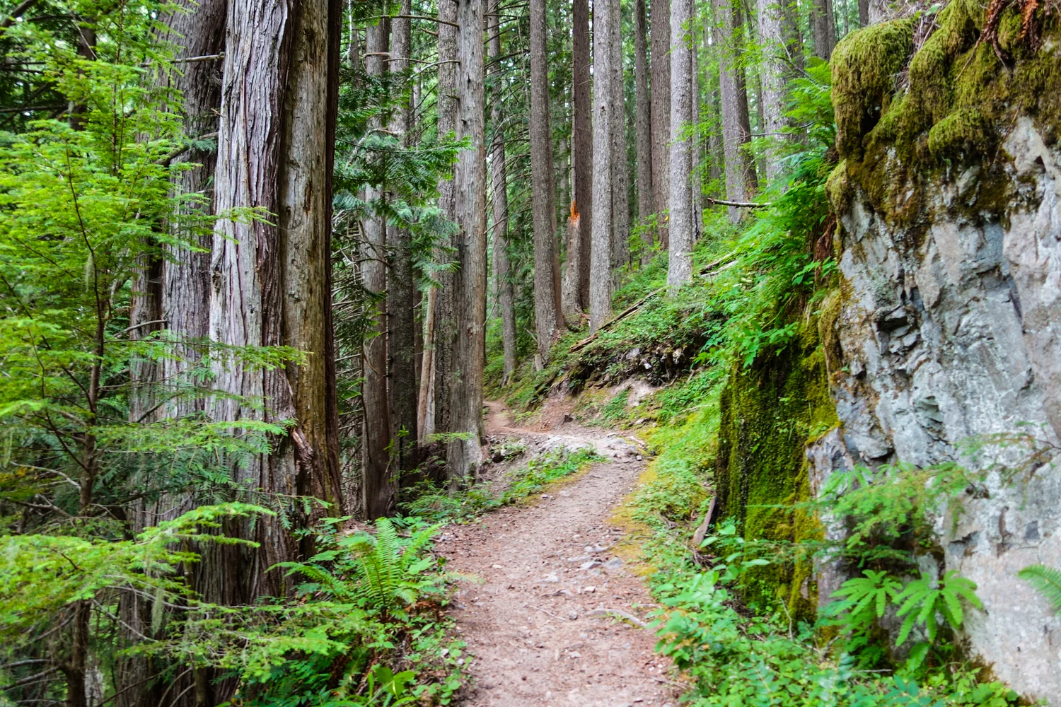 8 Iconic Pacific Northwest Backpacking Trips CleverHiker