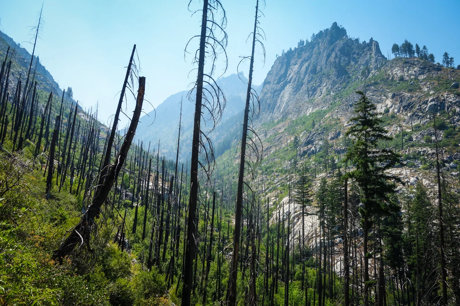 8 Iconic Pacific Northwest Backpacking Trips — CleverHiker