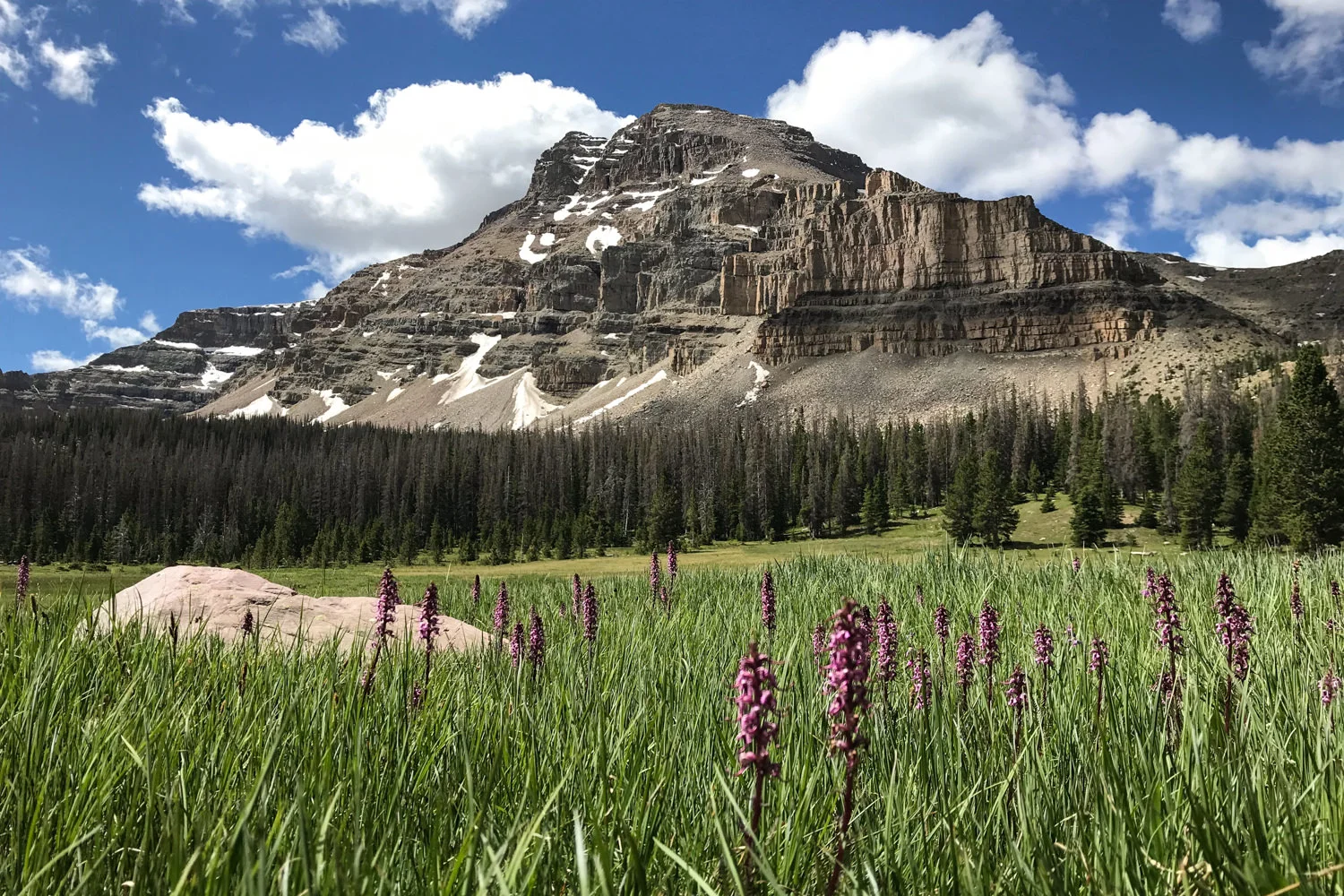 best uinta backpacking trips