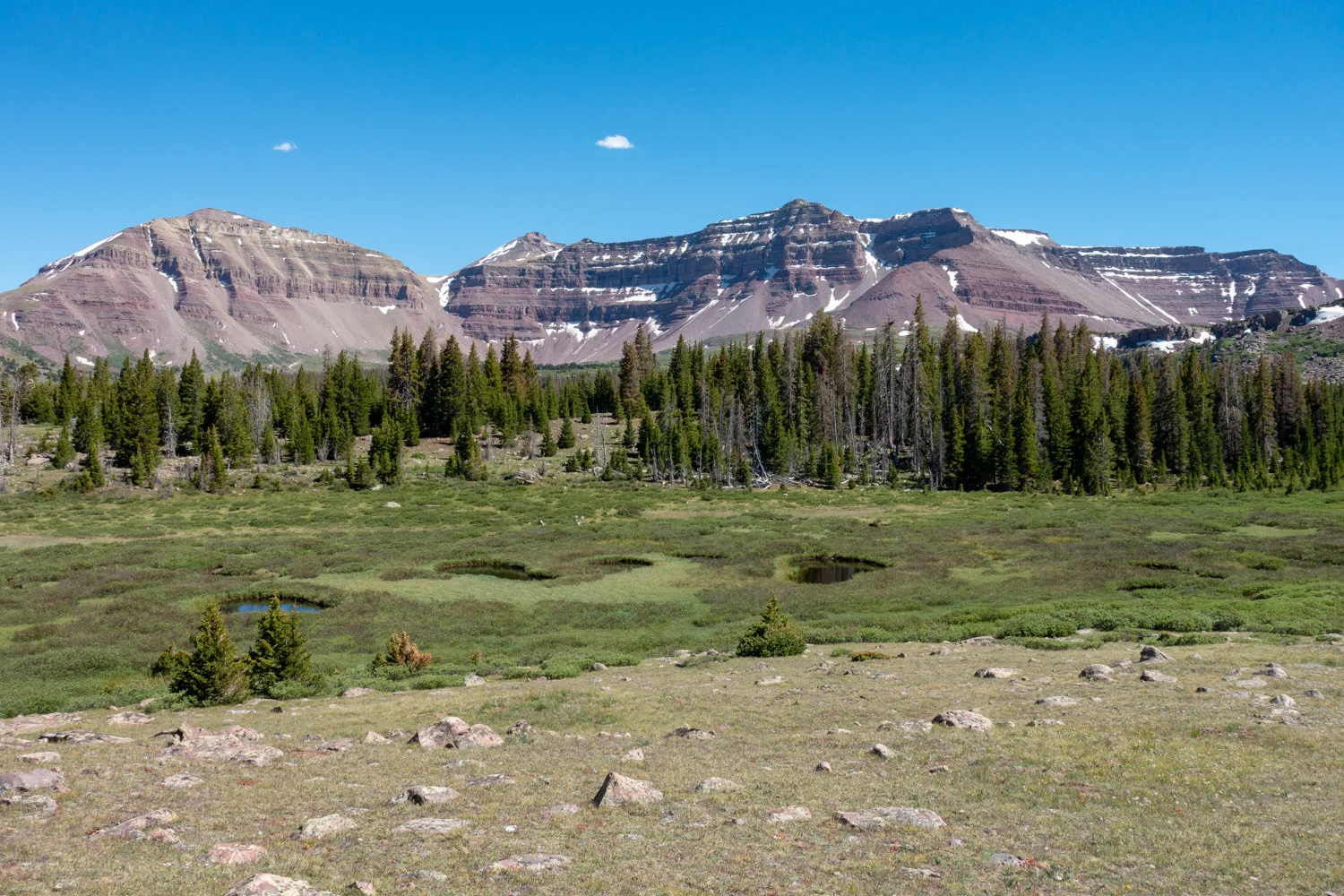 henry's fork trailhead