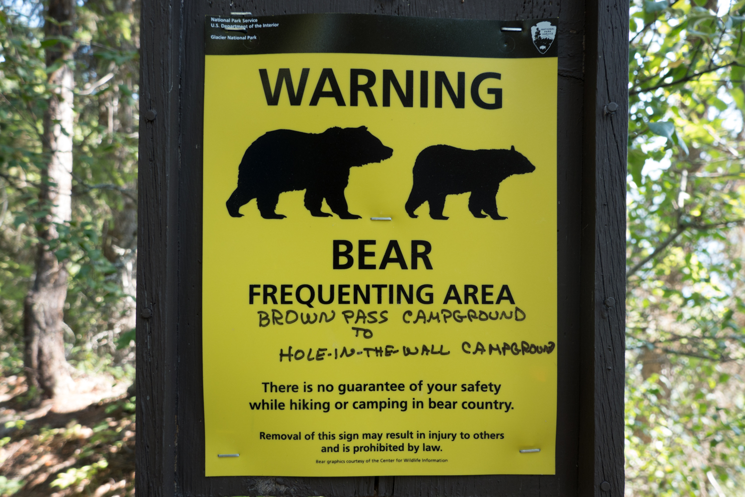 Does Bear Spray Really Work? CleverHiker