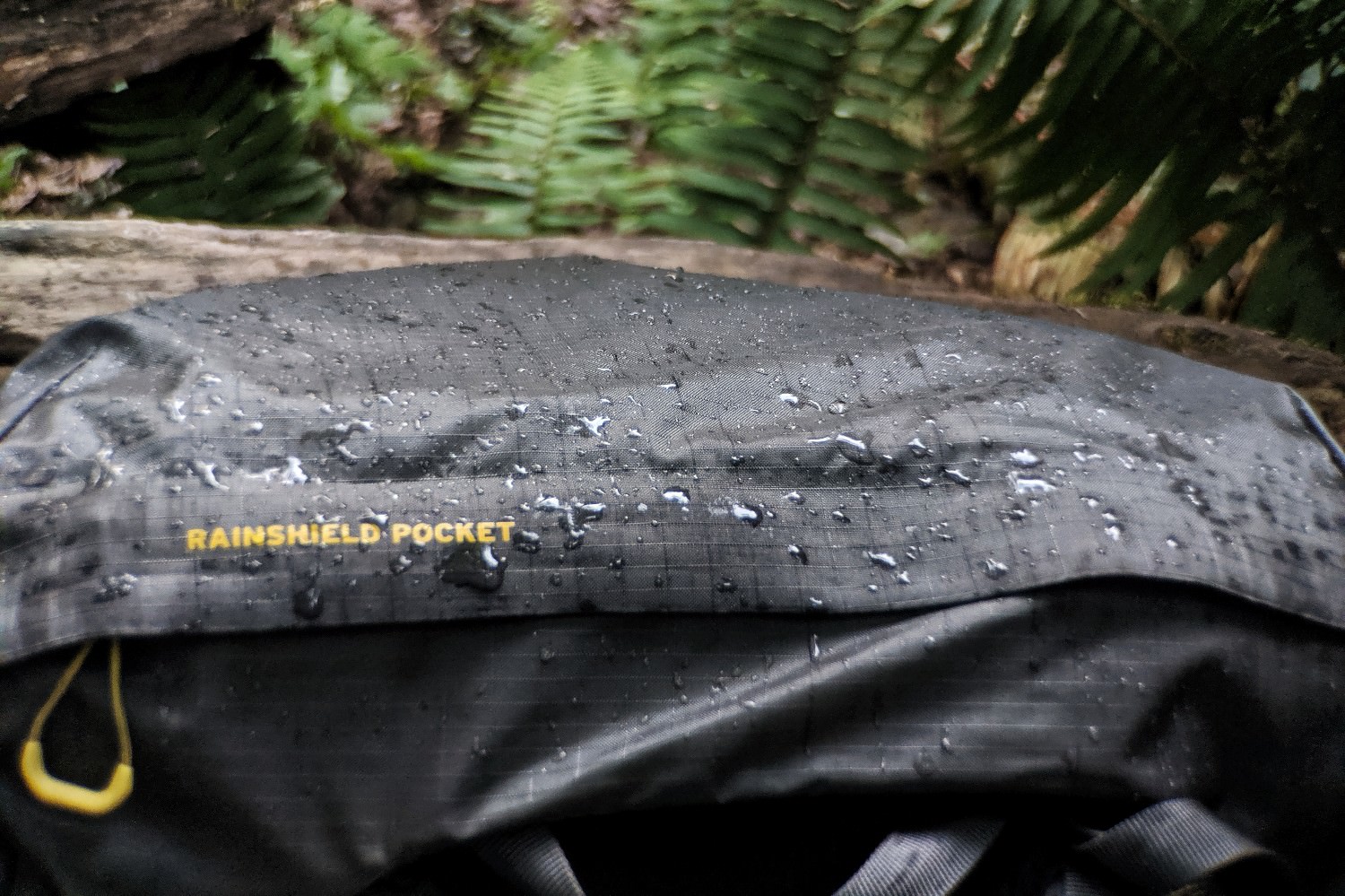 Wet Rainshield.jpeg