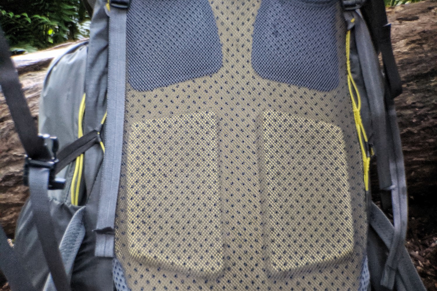 Padded back panel.jpeg