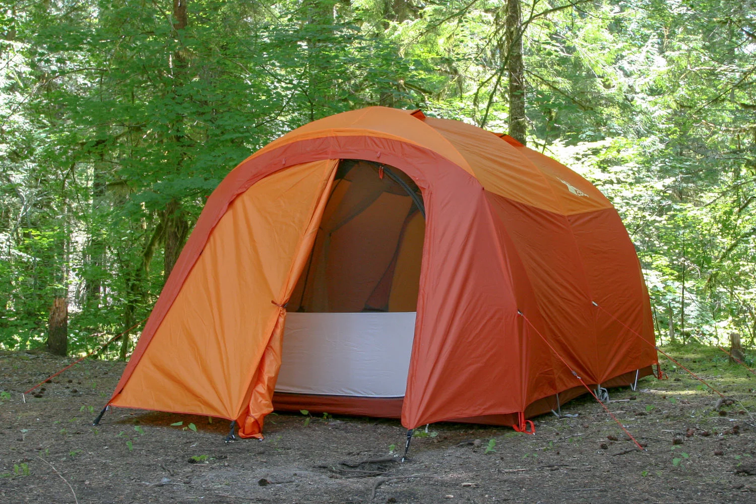 REI Kingdom 6 Tent Review — CleverHiker