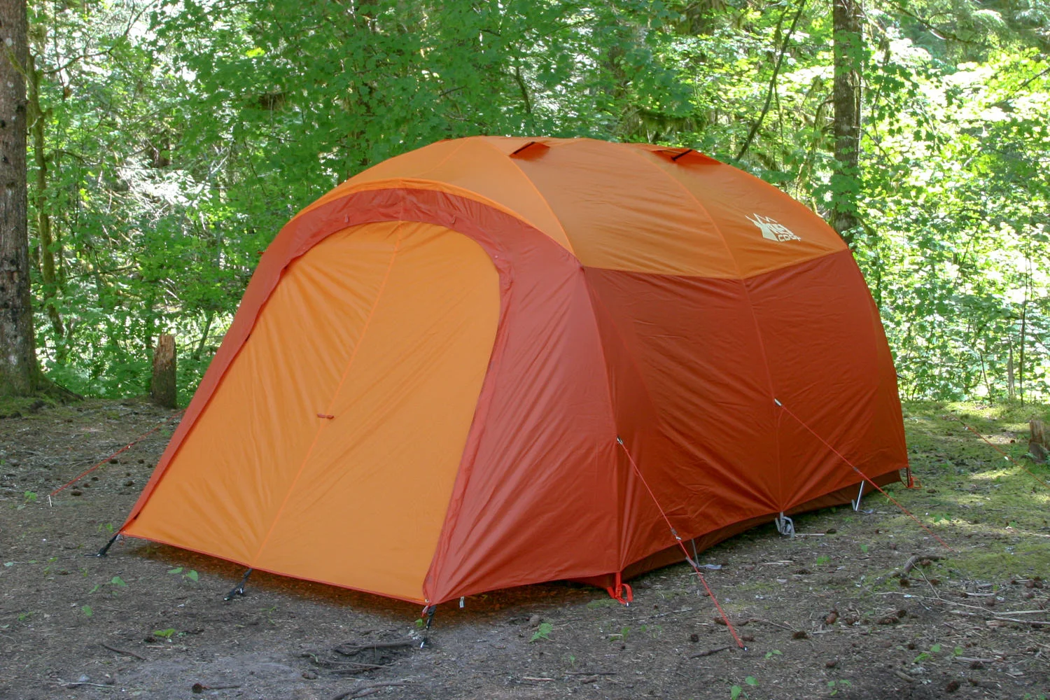 REI Kingdom 6 Tent Review CleverHiker