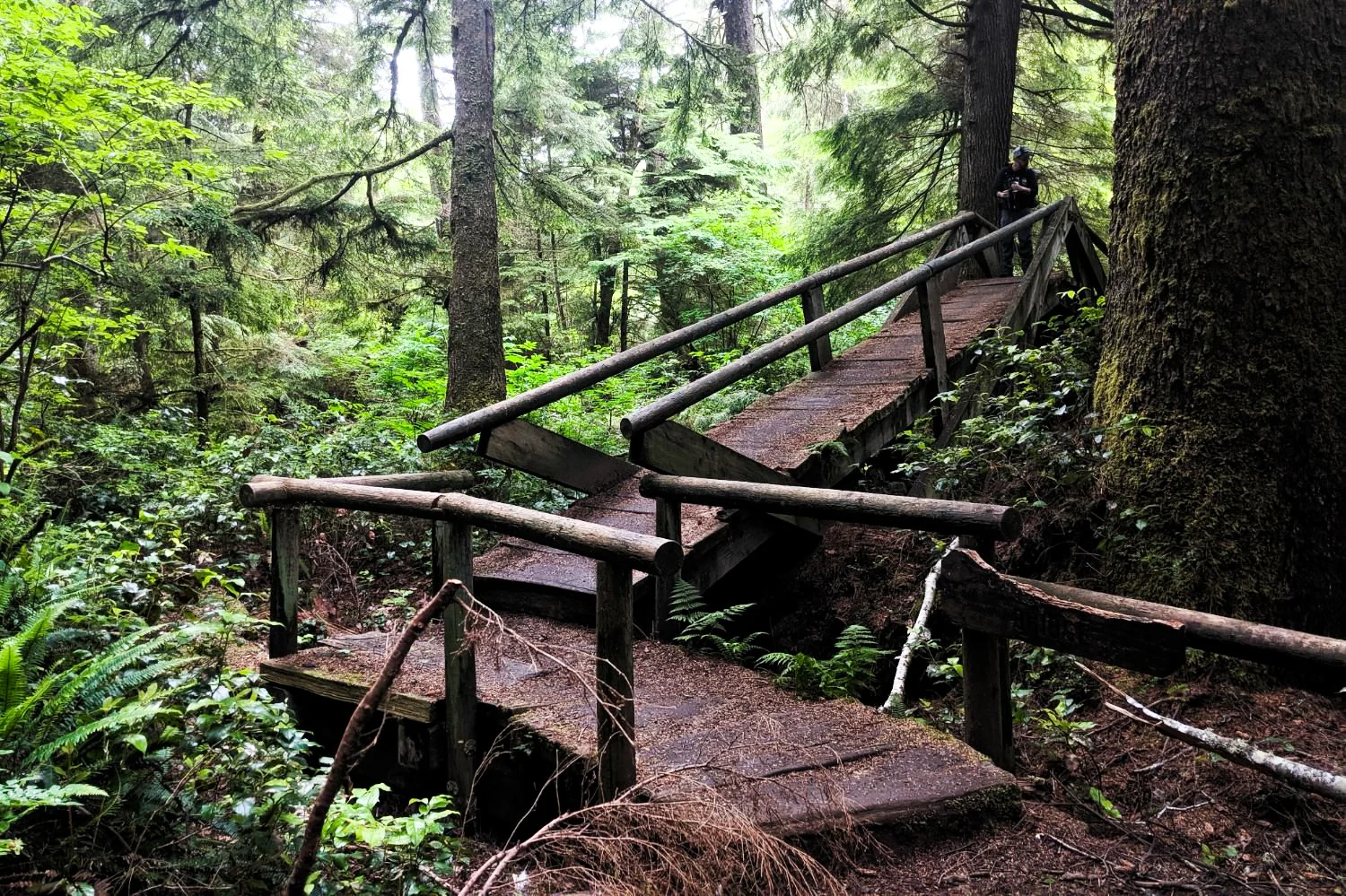 Olympic National Park North Coast Map North Coast Route Backpacking Guide - Olympic National Park — Cleverhiker