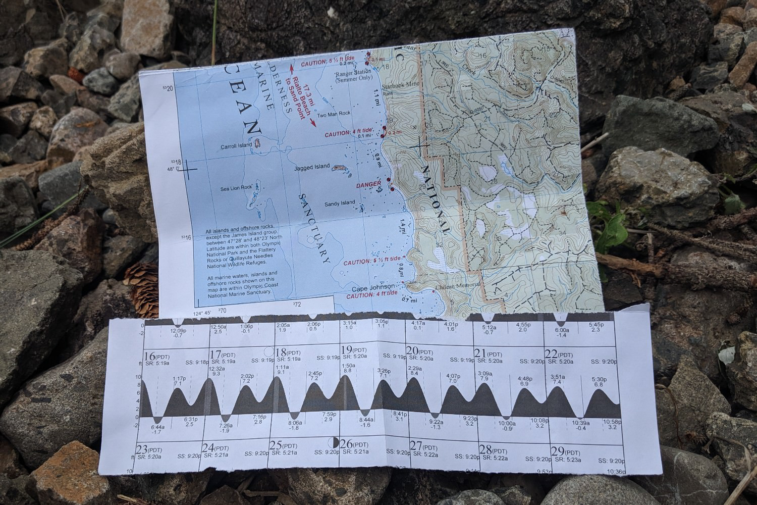 Olympic National Park Tide Chart