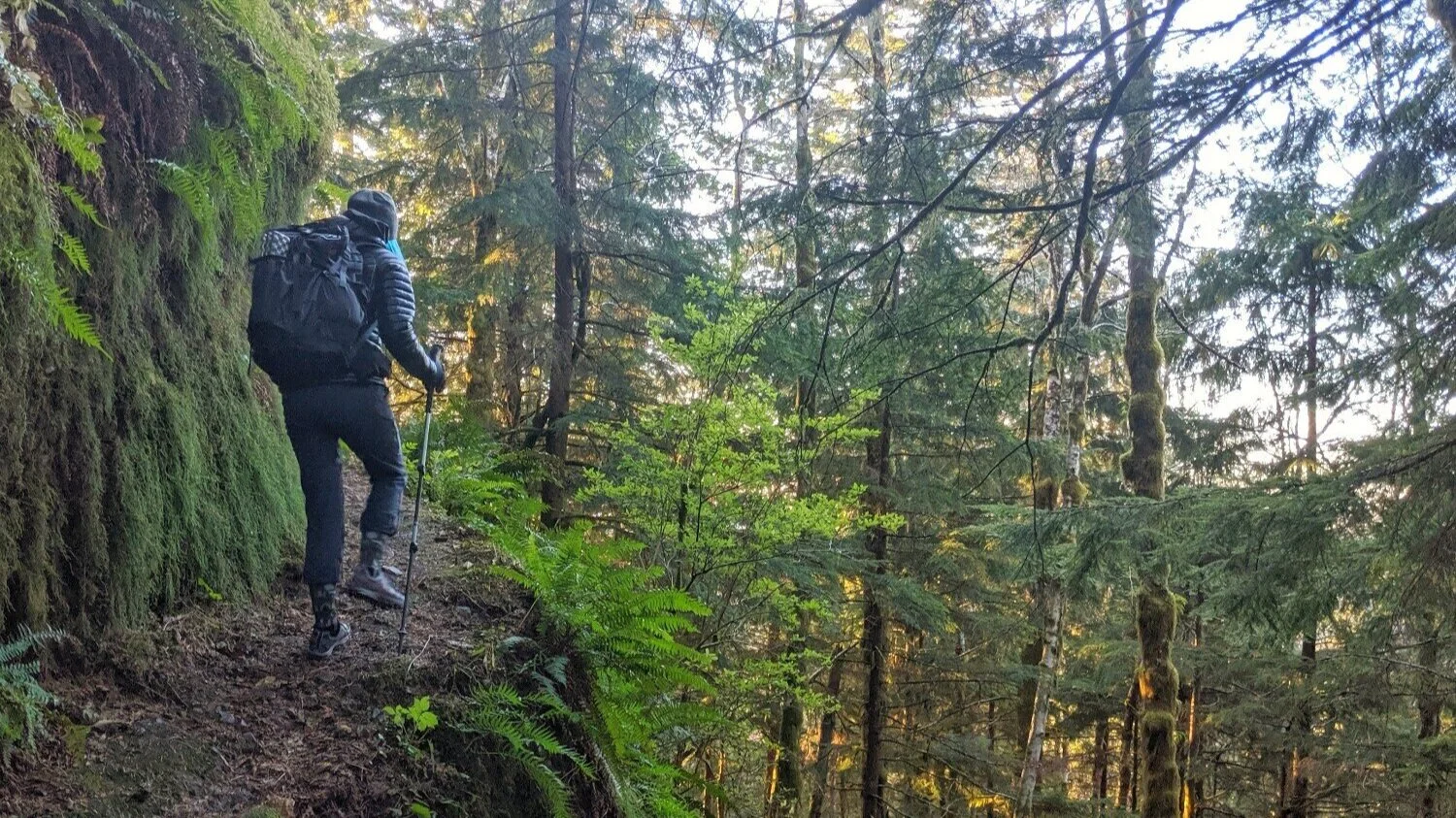 what do hiking poles do