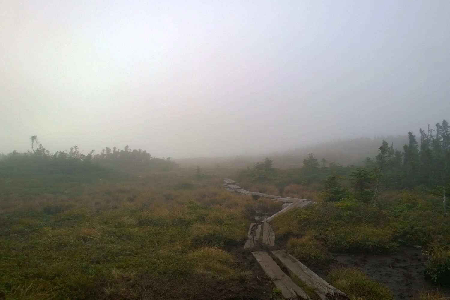 Mt. Success, New Hampshire.jpg