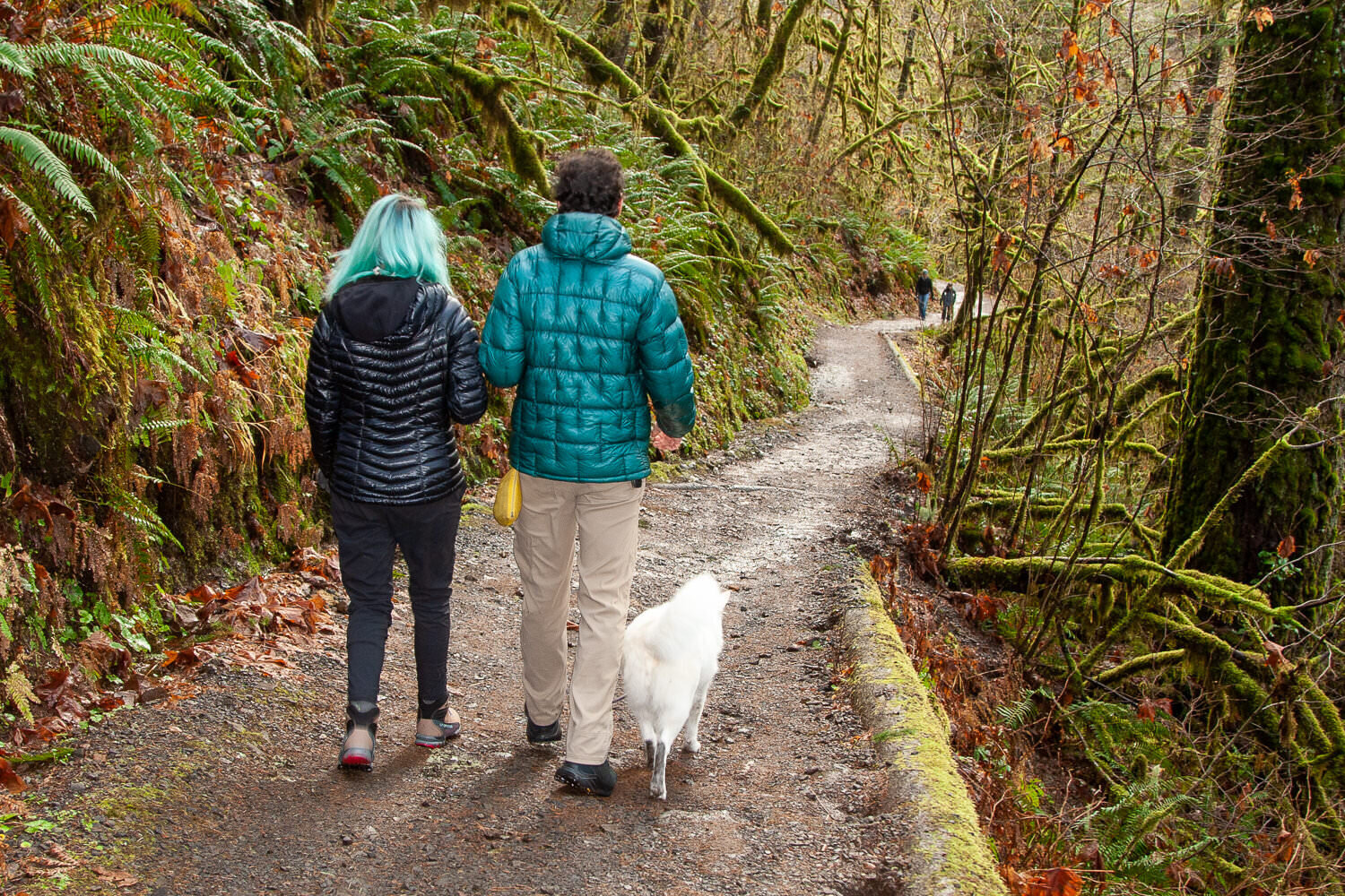 Going for a winter hike at  Silver Falls State Park  in Oregon