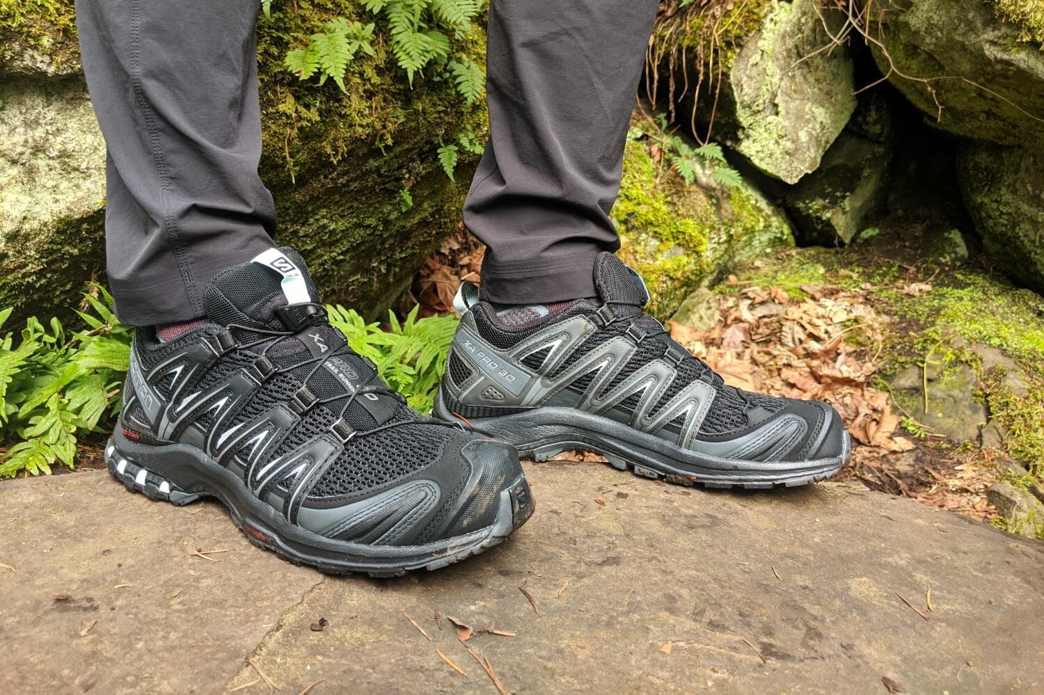 salomon trekking shoes