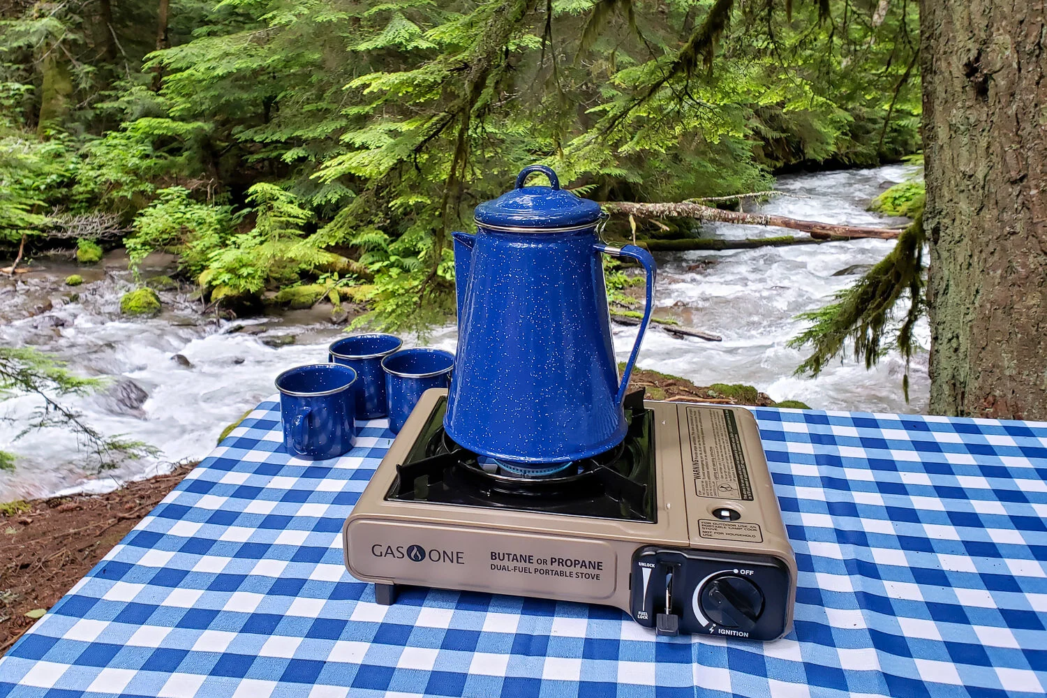 10 Best Camping Stoves of 2023 | CleverHiker
