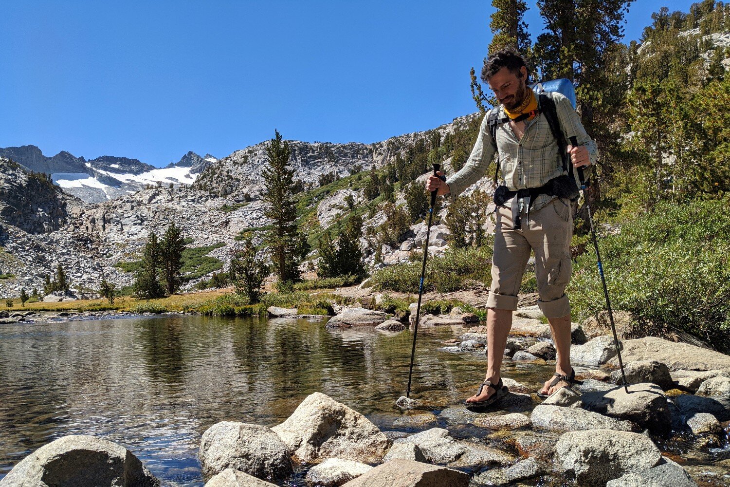 Trekking Pole,Hiking Walking Sticks with Adjustable Locks,Strong Mountaining Backpacking Walking Trekking Collapsible Camping Ultralight for Hiking 
