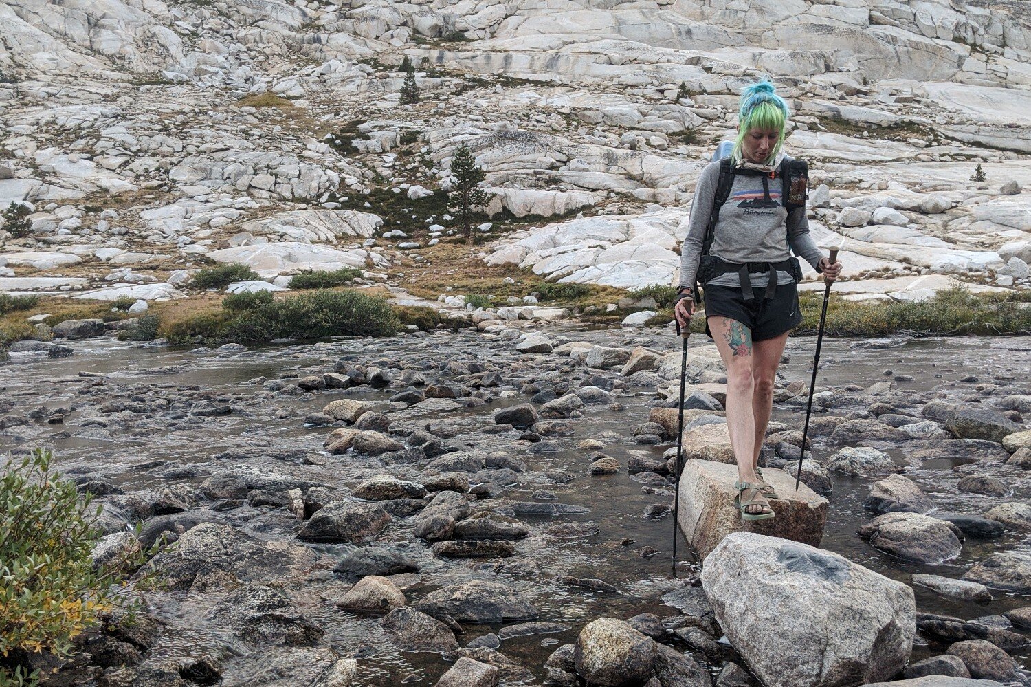 best backpacking trekking pole