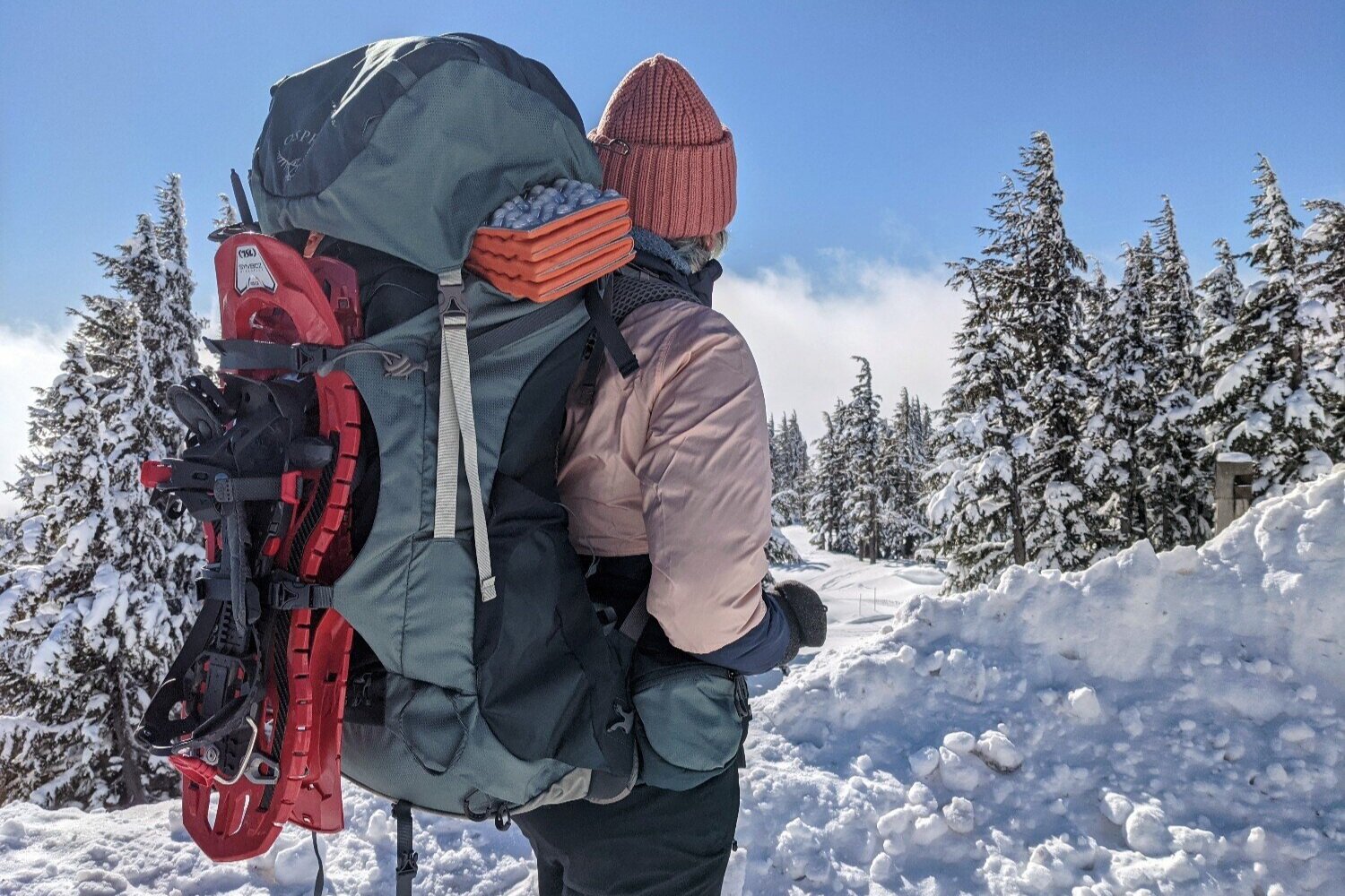 Backpacks 