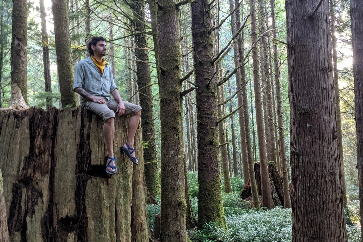 The Chaco Z/Clouds are a little heavier than some other hiking sandals, but the performance and durability are well worth the extra ounces for us.
