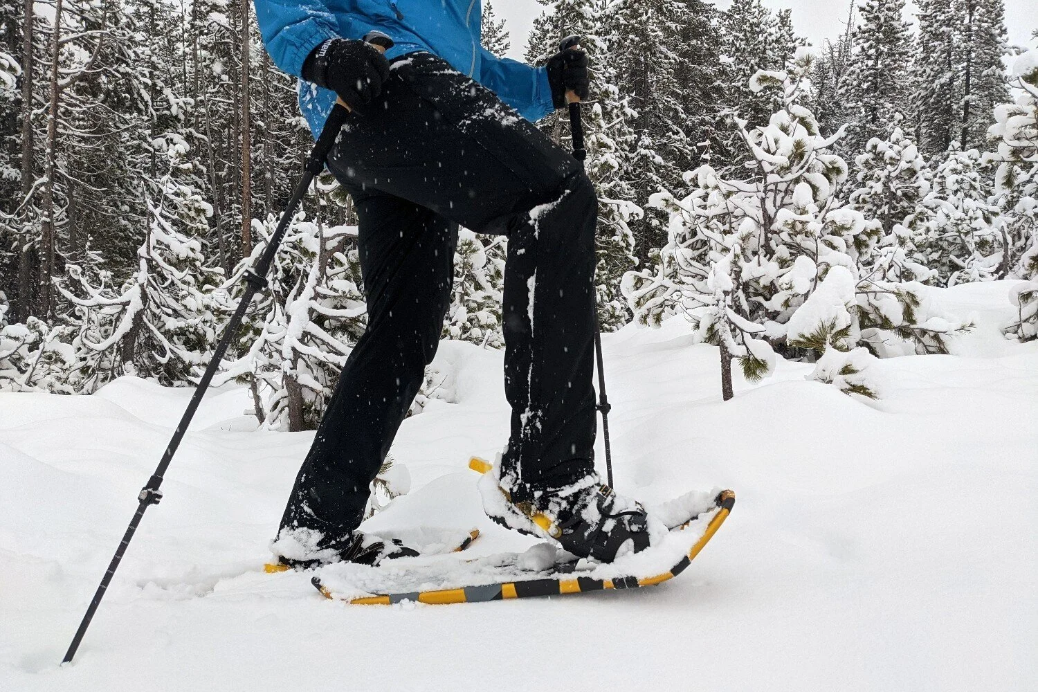 10 Best Rain Pants of 2023 CleverHiker