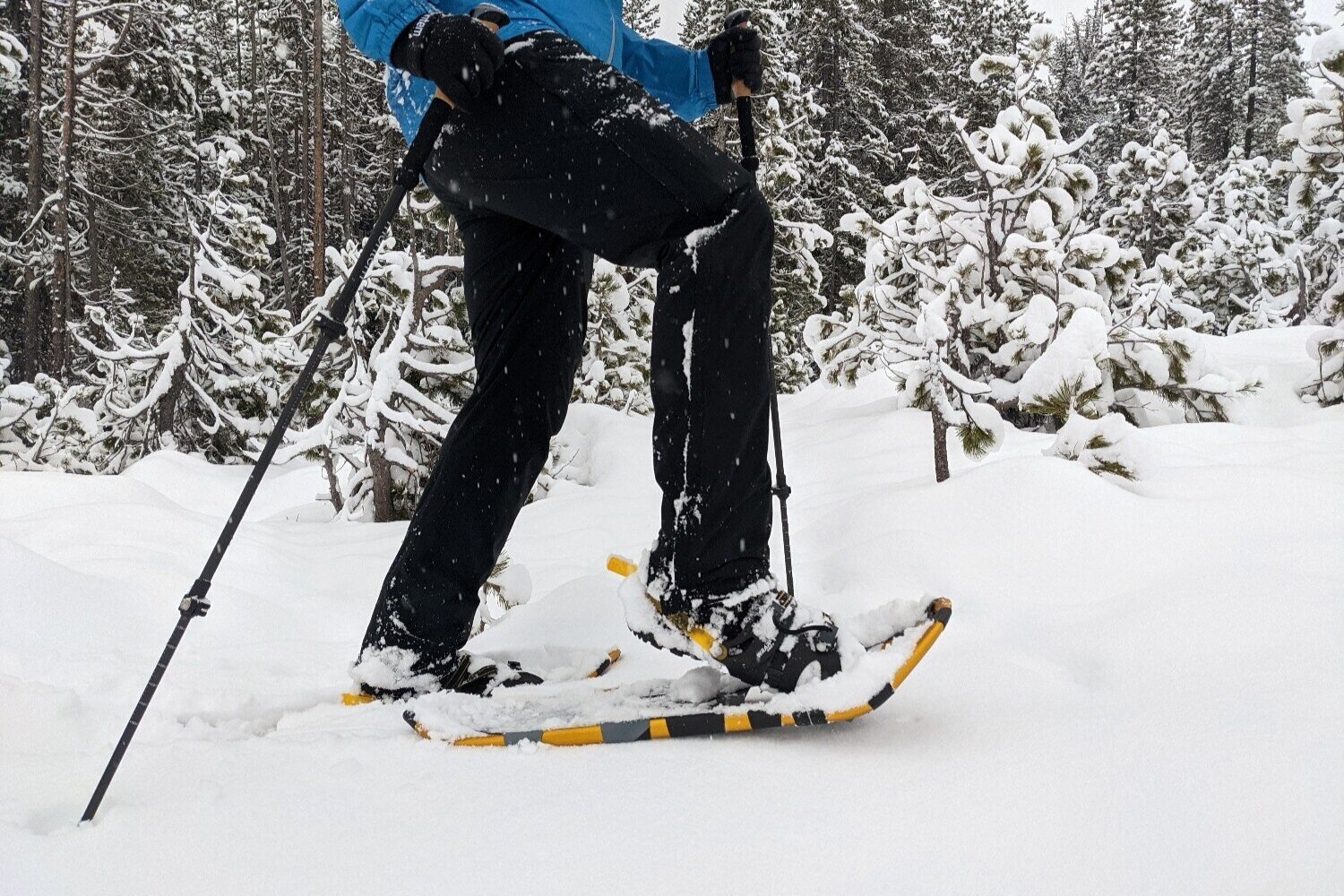 Best Snowshoes for Mountaineering of 2023 | CleverHiker