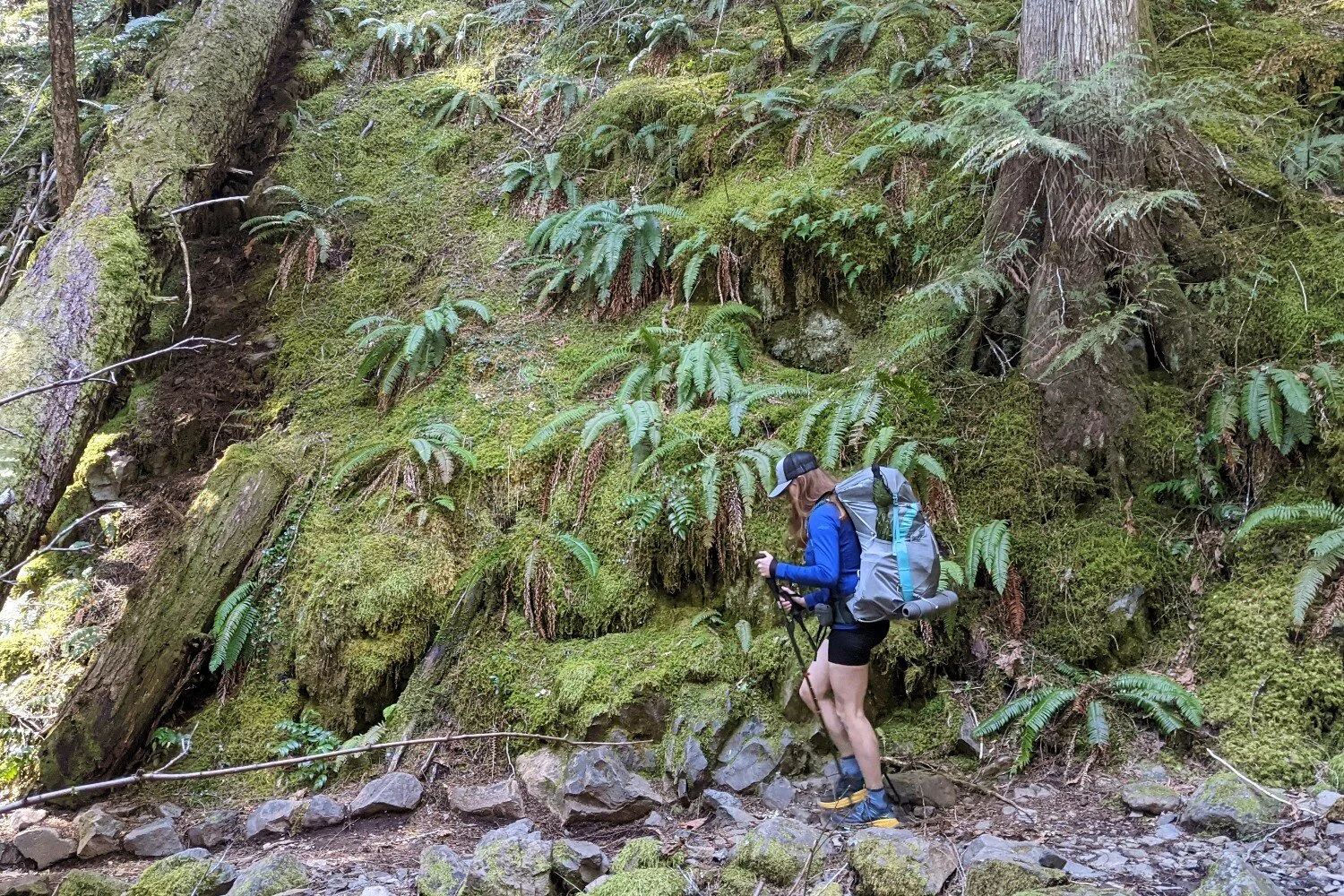 mckenzie river trail mtb