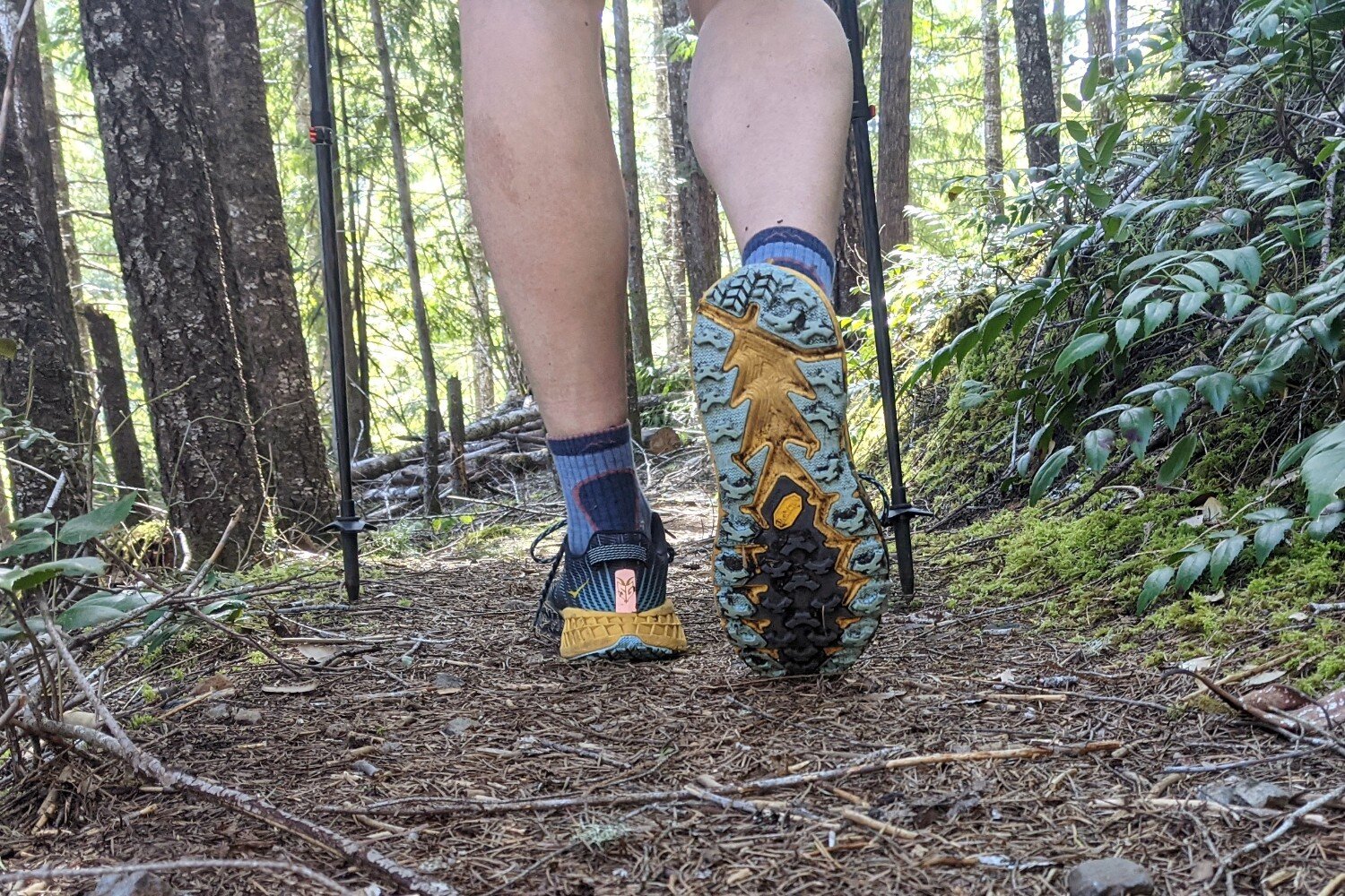 FREER NOMAD 5Pack Womens Cushioned Hiking Trekking Running Athletic Ankle Crew Socks