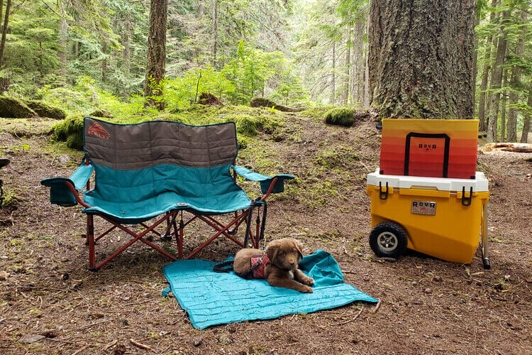 Kelty Mesh Low-Love Seat Camping Chair Camping and Beach Days Tapestry/Canyon Brown Updated 2019 Model Folding Chair for Festivals Portable