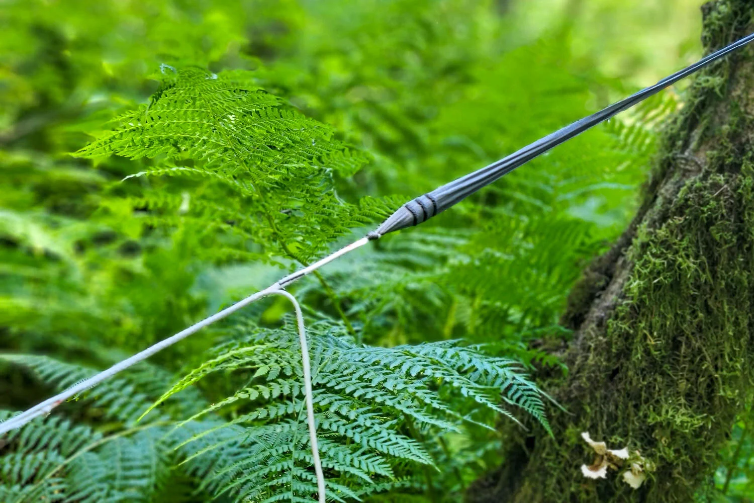 The Hummingbird Tree Straps are the lightest and most affordable whoopie slings