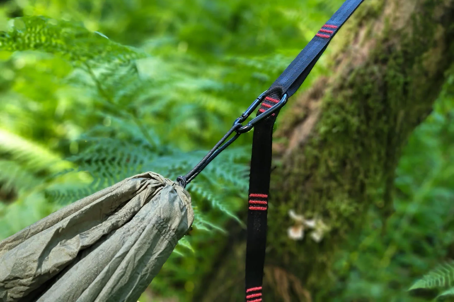 The Grand Trunk Tree Straps come in a fun array of colors