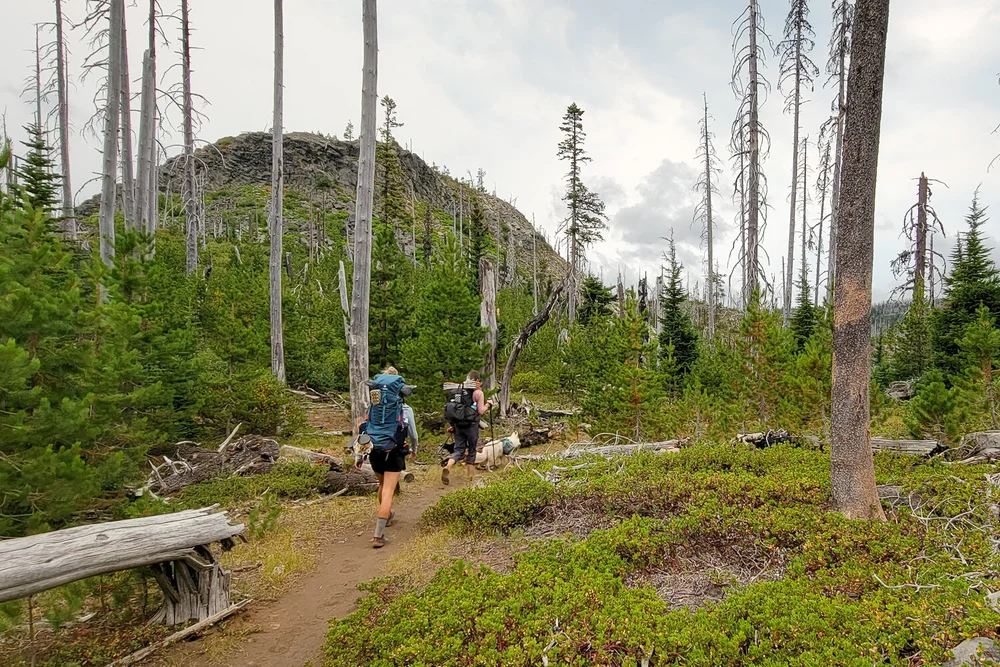 Trip - Three Fingered Jack Loop 2021-011.jpg