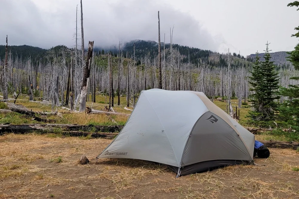 The  Sea to Summit Telos TR2  holds up well in high winds & feels spacious for a single hiker with a dog, & gear