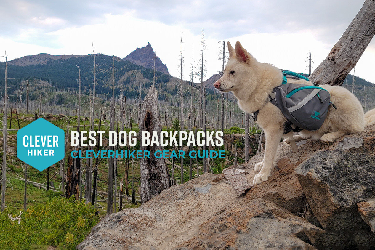 Best Dog Backpacks