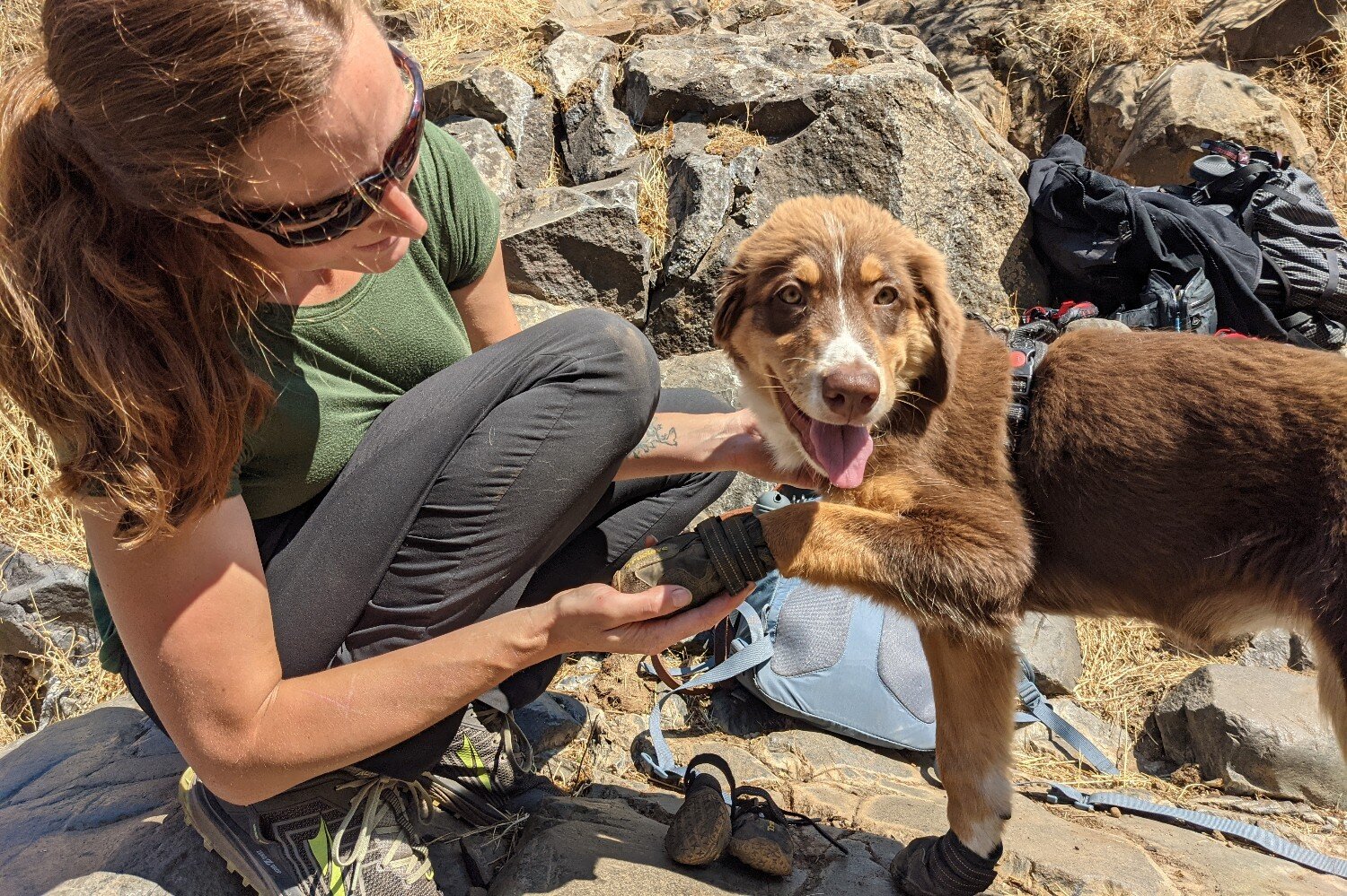 among Danube Prominent 5 Best Dog Boots of 2023 — CleverHiker | Backpacking Gear Reviews & Tutorial